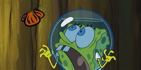 wormy spongebob butterfly.